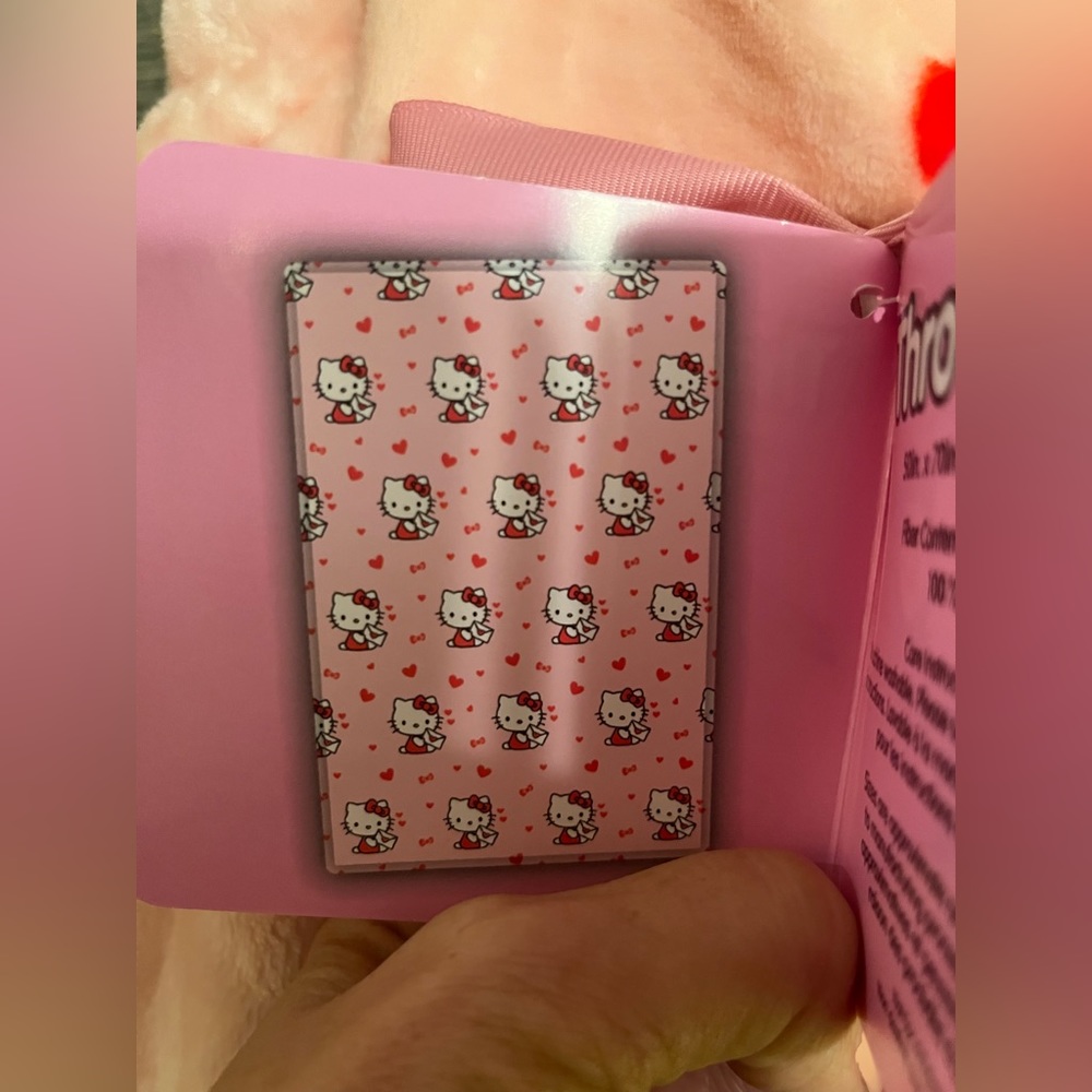 Hello Kitty Valentines Blanket - Picture 4 of 4